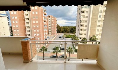 Reventa - Apartamento / piso -
Guardamar del Segura