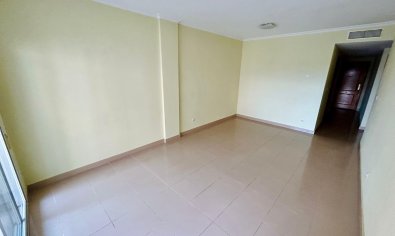 Reventa - Apartamento / piso -
Guardamar del Segura