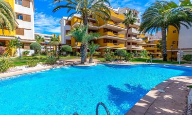 Reventa - Apartamento / piso -
Orihuela Costa - Punta Prima