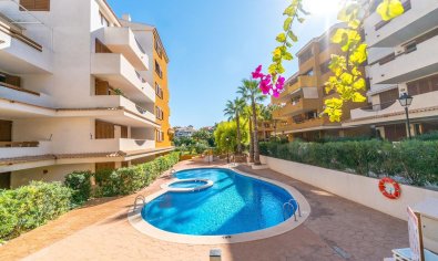 Reventa - Apartamento / piso -
Orihuela Costa - Punta Prima