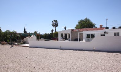 Bestaande bouw - Finca -
Crevillente