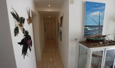 Bestaande bouw - Finca -
Crevillente