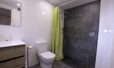 Bestaande bouw - Finca -
Crevillente