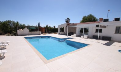 Bestaande bouw - Finca -
Crevillente