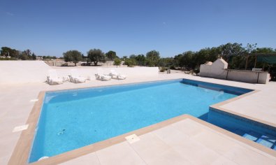 Bestaande bouw - Finca -
Crevillente