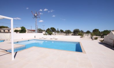 Bestaande bouw - Finca -
Crevillente
