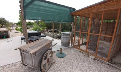 Bestaande bouw - Finca -
Crevillente
