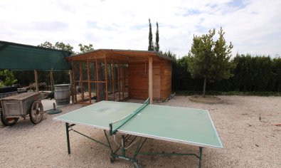 Bestaande bouw - Finca -
Crevillente