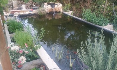 Bestaande bouw - Finca -
Crevillente