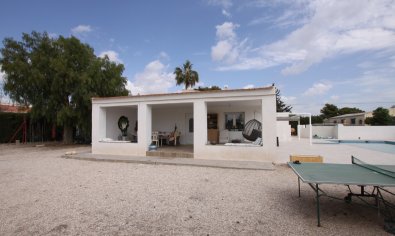 Bestaande bouw - Finca -
Crevillente