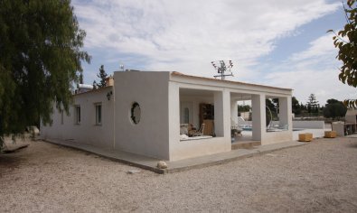 Bestaande bouw - Finca -
Crevillente