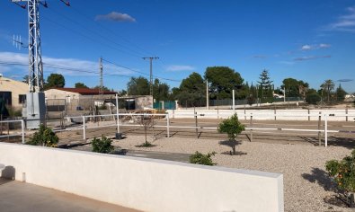 Bestaande bouw - Finca -
Crevillente