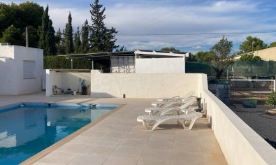 Bestaande bouw - Finca -
Crevillente