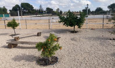 Bestaande bouw - Finca -
Crevillente