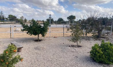 Bestaande bouw - Finca -
Crevillente