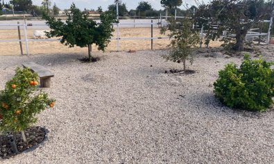 Bestaande bouw - Finca -
Crevillente