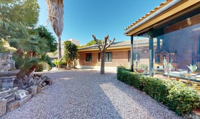 Resale - Villa -
San Juan de Alicante