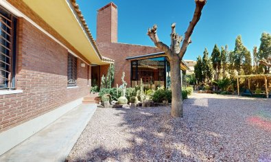 Resale - Villa -
San Juan de Alicante