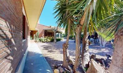 Resale - Villa -
San Juan de Alicante