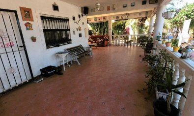 Resale - Finca -
Orihuela