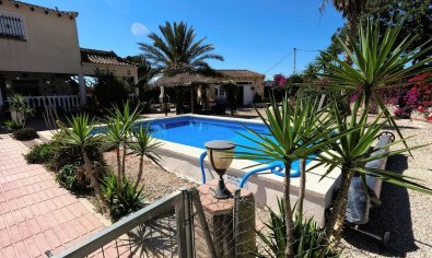 Resale - Finca -
Orihuela