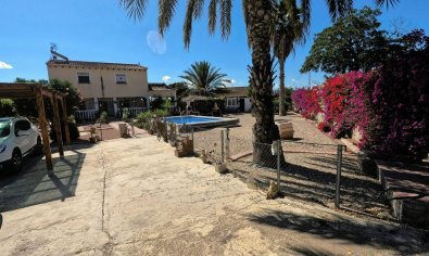 Resale - Finca -
Orihuela