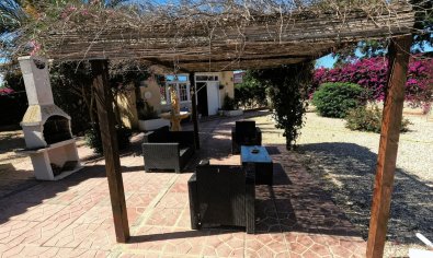 Resale - Finca -
Orihuela