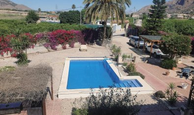 Resale - Finca -
Orihuela