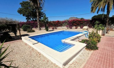 Resale - Finca -
Orihuela