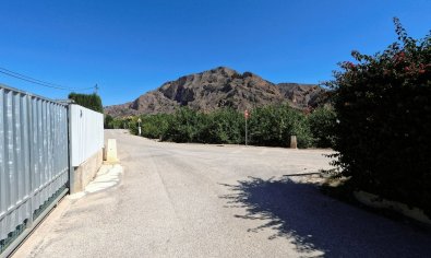 Resale - Finca -
Orihuela