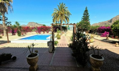 Resale - Finca -
Orihuela