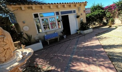 Resale - Finca -
Orihuela