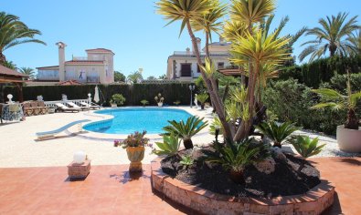 Bestaande bouw - Villa -
Torrevieja - Punta Prima