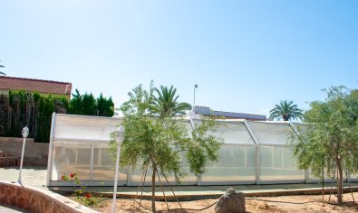 Bestaande bouw - Villa -
Orihuela Costa - Mil Palmeras