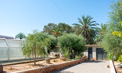 Bestaande bouw - Villa -
Orihuela Costa - Mil Palmeras