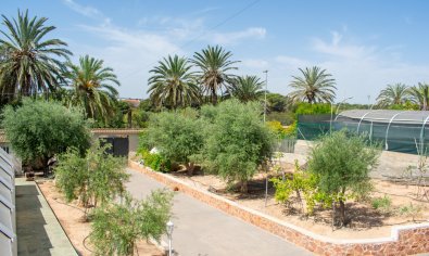 Bestaande bouw - Villa -
Orihuela Costa - Mil Palmeras