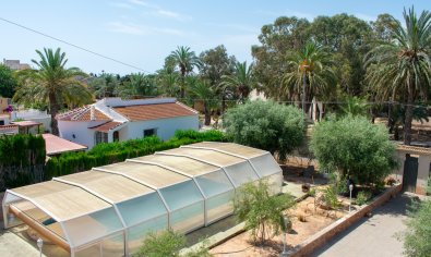 Bestaande bouw - Villa -
Orihuela Costa - Mil Palmeras