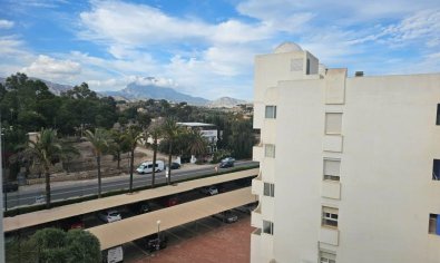 Reventa - Apartamento / piso -
Villajoyosa - Playa Paraiso