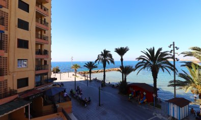 Bestaande bouw - Appartement -
Torrevieja - Playa del Cura