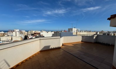 Resale - Apartment -
Guardamar del Segura