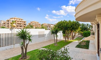 Resale - Apartment -
Guardamar del Segura