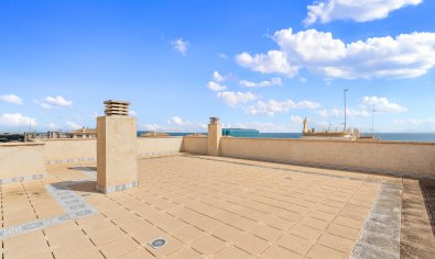 Resale - Apartment -
Guardamar del Segura
