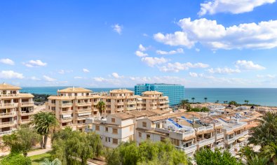 Resale - Apartment -
Guardamar del Segura