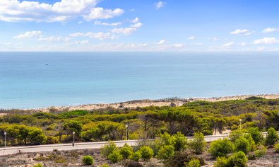 Resale - Apartment -
Guardamar del Segura