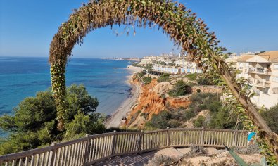 Resale - Apartment -
Cabo Roig