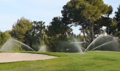Resale - Apartment -
Cabo Roig