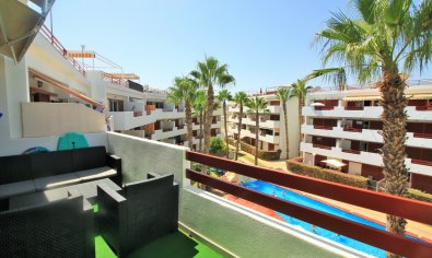 Reventa - Apartamento / piso -
Orihuela Costa - Playa Flamenca