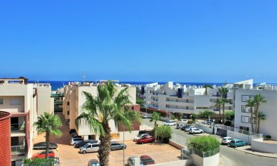 Reventa - Apartamento / piso -
Orihuela Costa - Playa Flamenca