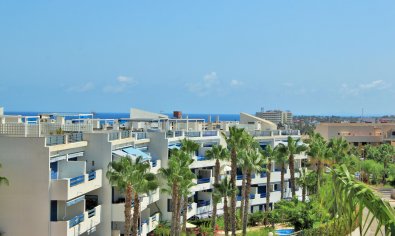 Reventa - Apartamento / piso -
Orihuela Costa - Playa Flamenca