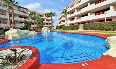 Reventa - Apartamento / piso -
Orihuela Costa - Playa Flamenca